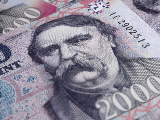 „A forint túl erős lett a magyar gazdaság versenyképességéhez képest”