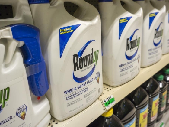 Bayer: Miért van annyi Roundup gyomirtó per?