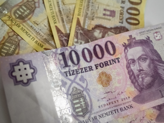 Mennyire erősödhet még a forint az euróbevezetésig?
