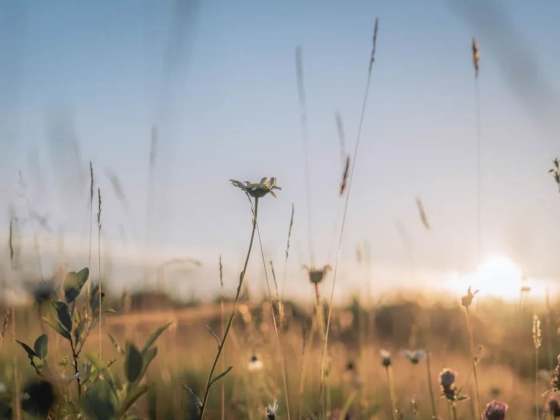 Így változik az időjárás a hétvégén, mutatjuk, milyen idő lesz a Balatonnál