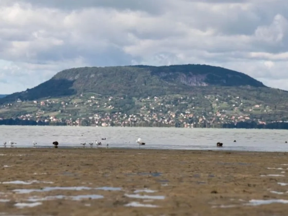 Egy hónap alatt jelentősen csökkent a Balaton vízállása – gyorsul az apadás