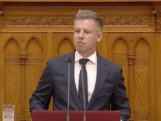 Videón, ahogy el-elcsukló hangon mond köszönetet Kátai-Németh Vilmosnak Magyar Péter