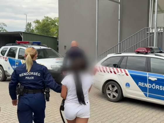 Lecsapott a rendőrség a duguláselhárító maffiára, több embert letartóztattak