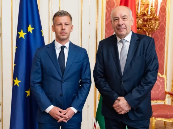 Négy út áll Sulyok Tamás előtt az Alaptörvény módosítása után