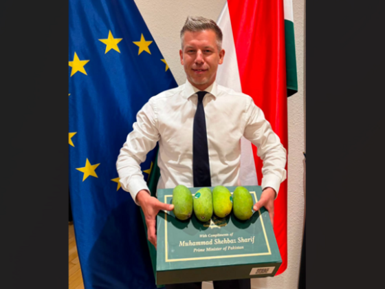Magyar Pétert a történelmi nap végén meglepetés várta az irodájában