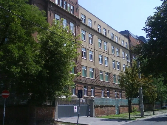 Felmentették a Bajcsy főigazgatóját