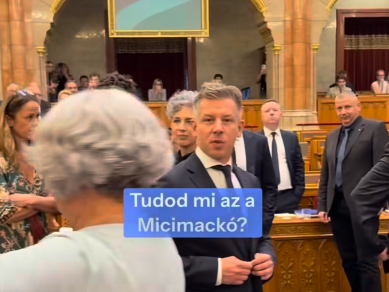 „Tudod, mi az a Micimackó, te bohóc?” – Magyar Péter beszólt Németh Balázsnak