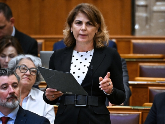 Egy tanév türelmet kér a Tisza a pedagógusoktól