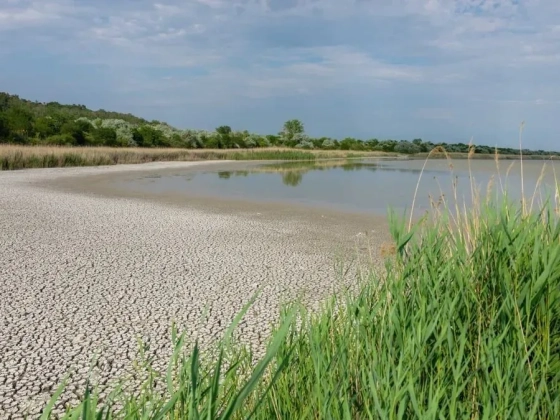Már egy méter víz hiányzik a Velencei-tóból - a Balaton helyzete is aggasztó