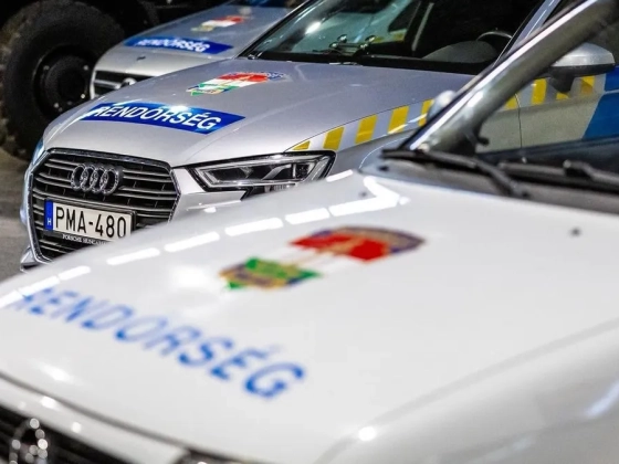 Vasvillával és ásóval esett neki a járműveknek, majd egy rendőrt is megharapott egy férfi