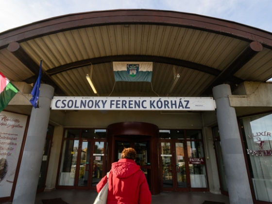Ágyi poloskák miatt kellett kiüríteni a veszprémi kórház gyermekágyas részlegét