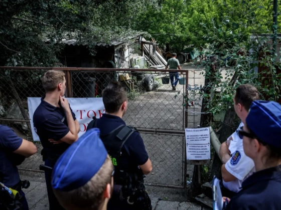 Húsz év után sikerült kilakoltatni az illegális gazdálkodót, aki 16 hektárnyi természetvédelmi területet bitorolt el, majd lekaszálta a ritka szöcskék élőhelyét