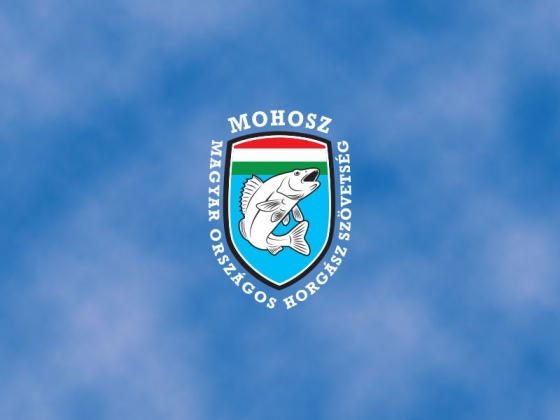 Ma kiderül, hogy a fideszes Szűcs Lajosnak sikerül-e a saját kijelölt helyettesét átejtőernyőztetnie a MOHOSZ élére