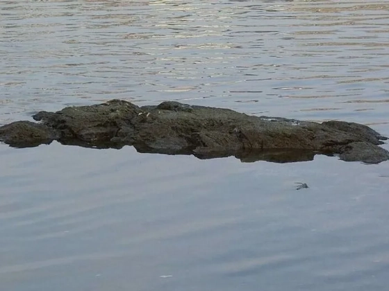 Negatív rekordot döntött a Duna vízállása