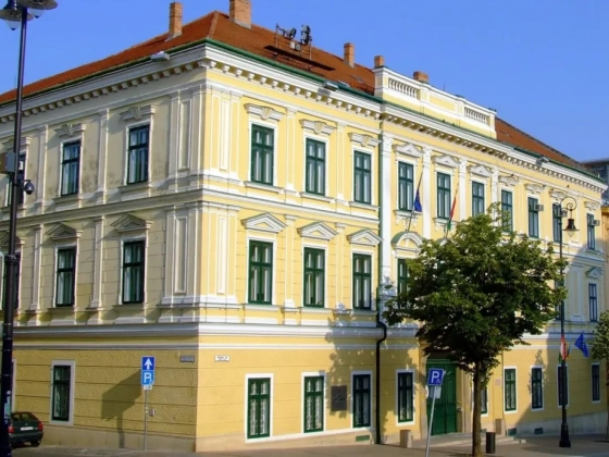 Letartóztatásba került a kábítószer-kereskedelemmel gyanúsított pécsi önkormányzati képviselő