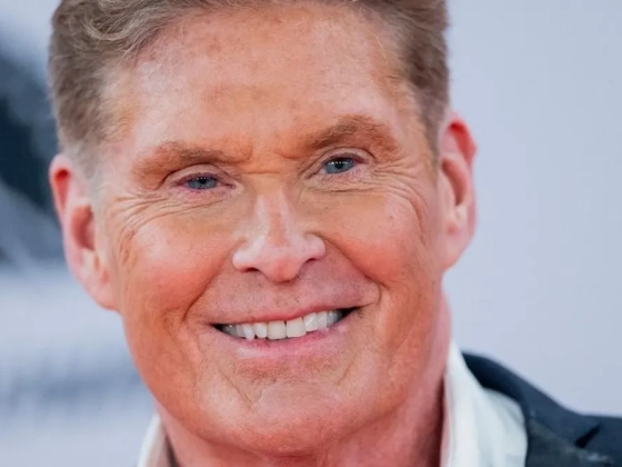 Kis híján hatalmas bukás lett a sorozat: így vált világhírűvé David Hasselhoff