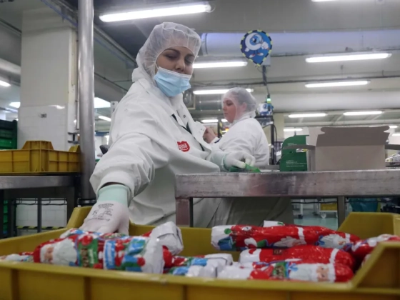 Nem fogynak a csokimikulások, bezárja diósgyőri gyárát a Nestlé