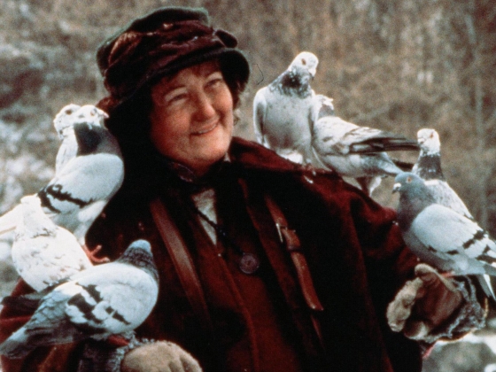 81 éves korában elhunyt Brenda Fricker Oscar-díjas színésznő