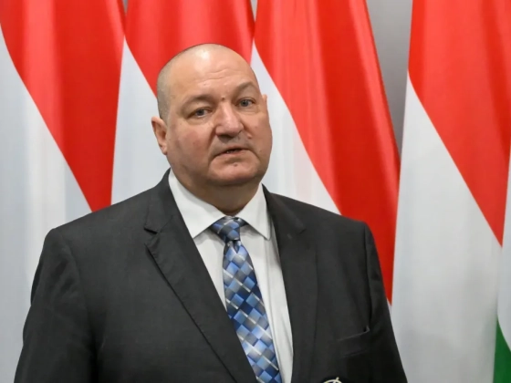 Németh Szilárd lett a Magyar Birkózók Szövetségének tiszteletbeli elnöke