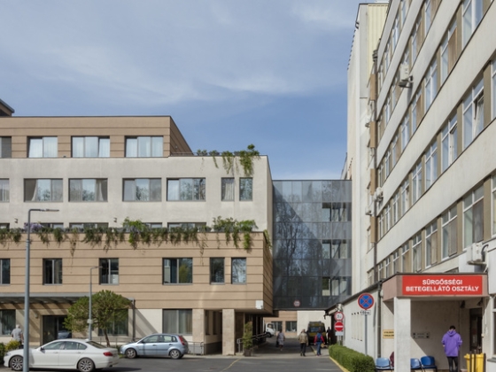 Újabb kórház igazgatóját távolították el
