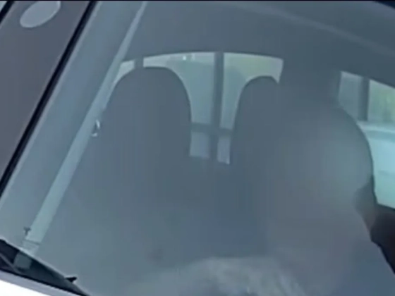 Videón, ahogyan a rendőrök mentenek ki egy Teslába ragadt idős nőt