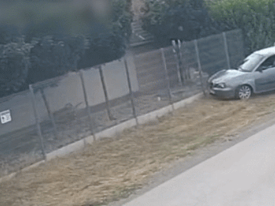 Üldözés, ütközés, lövöldözés, akciófilmbe illő jelenetek játszódtak le vidéken