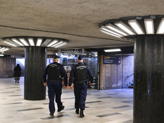 Budapest közbiztonsága miatt nekiment a belső-pesti „balliberális polgármestereknek” a Mi Hazánk