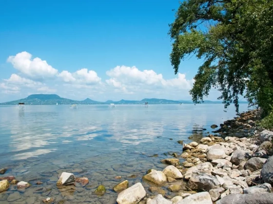 Esőfelhők a Balaton felett? Ezek valójában rovarinváziók voltak