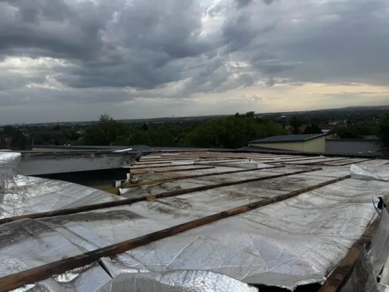 Kidőlt fák, letépett tető – a fél országban károkat okozott a vihar