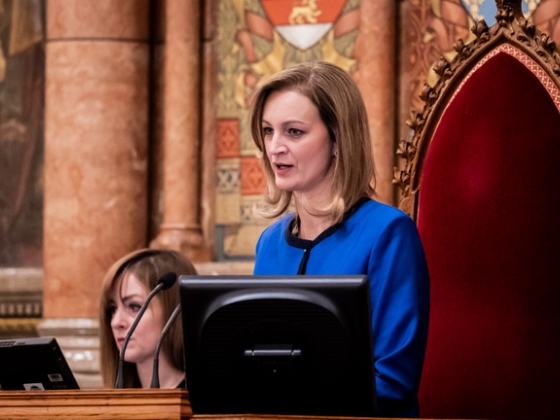 Forsthoffer Ágneshez fordult az ukrán pénzszállítók ügyvédje a legfőbb ügyész menesztése miatt