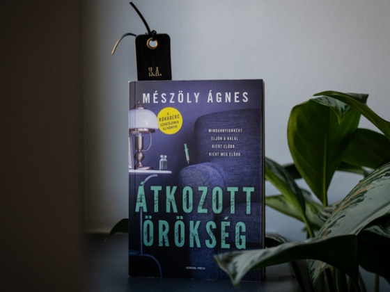 Átíratott végrendeletekre hajtott a sorozatgyilkos a pesti idősotthonban