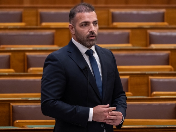 Tárkányi Zsolt: Nem volt nagy vita a Tisza frakcióülésén Polgár Judit lehetséges kinevezése miatt