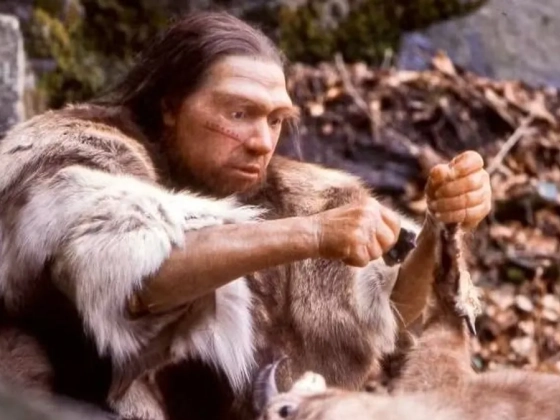 Hihetetlen dolgot fedeztek fel a kutatók: a korai emberek és a neandervölgyiek együtt éltek