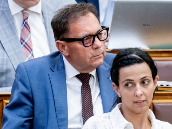 Magyar Péter: Pócs János félmilliós szemüvegben videózza a képviselőket