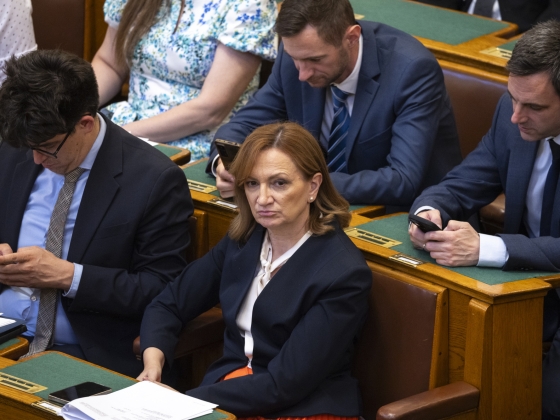 Bujdosó Andrea: Polgár Judit a legalkalmasabb államfőjelölt