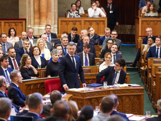 Most van erre harminc napunk – tiszás képviselőket kérdeztünk, hogyan lett ilyen gyorsan Polgár Judit a legalkalmasabb arra, hogy államfőnek jelöljék