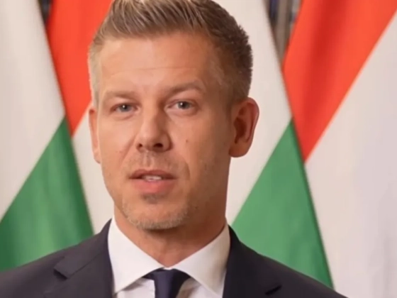 Magyar Péter a jelölés körüli vitákról és Polgár Judit döntéséről: A felelősség kizárólag engem terhel