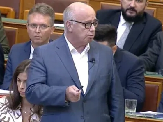 Videón, ahogy több ellenzéki képviselő mikrofonját is elnémították