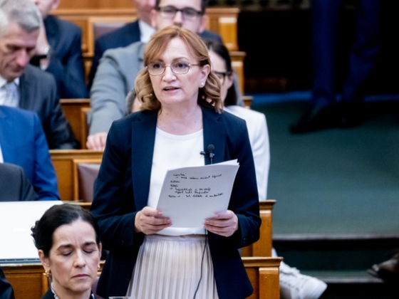 Bujdosó Andrea elismerte, voltak viták a Tisza-frakcióban Polgár Judit jelölésének módjáról