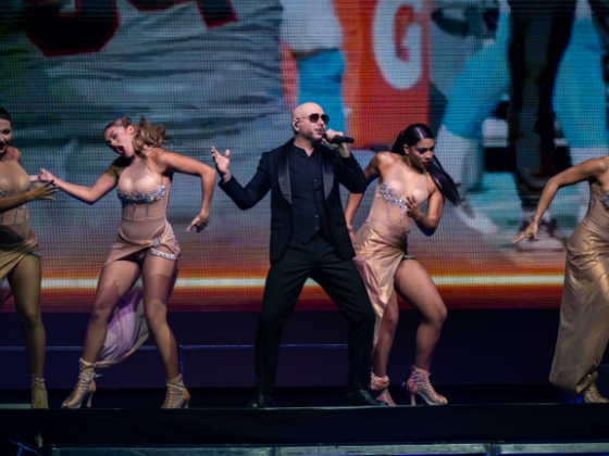 Pitbull ámulatba ejtette a magyarokat, akik kopaszon szelték át a várost miatta