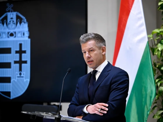 Magyar Péter Orbán Viktorról: Nagyon nehezen tudom elképzelni, hogy a maffiafőnöknek nem merül fel a felelőssége egy maffiában