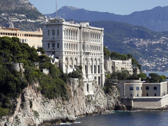 Monaco nemcsak a pénzmosók paradicsoma, hanem a polipoké és a cápáké is