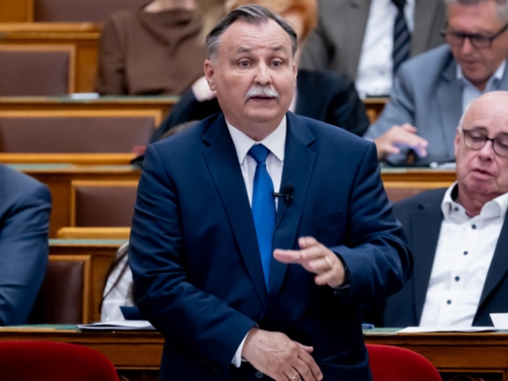 „Hihetetlen káosz” a hatvanpusztai zebrák ügyében, újabb részleteket hozott nyilvánosságra Gajdos László
