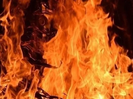Kigyulladt a tarló, a lángok erdősávot és pincéket veszélyeztetnek
