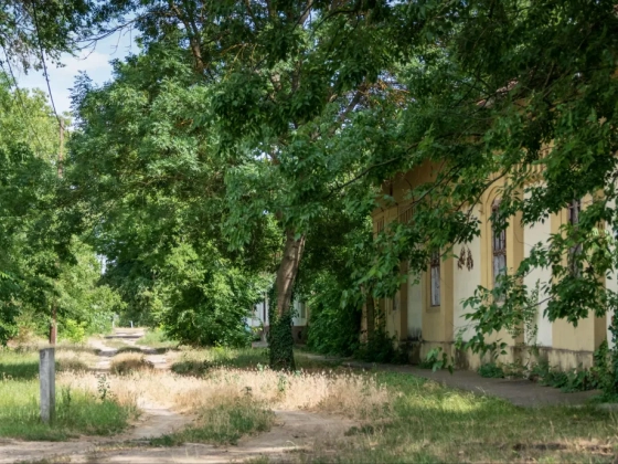 Dögszag után trágyaszag Nagymágocson: a bűz néha a falu életéhez tartozik, de lehet tenni ellene