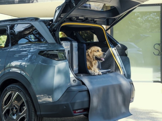 Kutyabarát autót mutatott be a Peugeot, tele zseniális ötletekkel