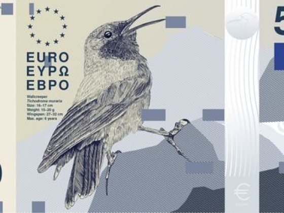 Jönnek az új bankjegyek, bárki szavazhat róluk
