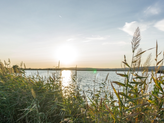 Leállította a Tisza-kormány a NER sukorói beruházását: 12 ponttal mentik a Velencei-tavat