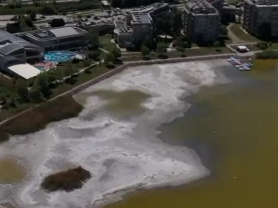 Ne próbálj meg itt úszni! Öt Velencei-tó strandján betiltották a fürdőzést