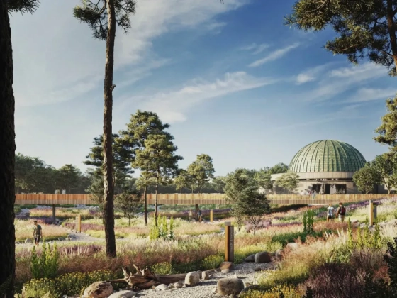 Karácsony: A kormányváltás történelmi lehetőség a Népligetnek és a Planetáriumnak